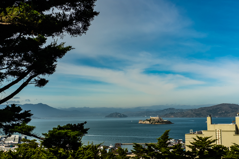 SF-1-1-20 - Telegraph Hill-6118