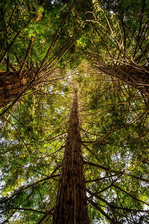 Lens Artists- Refuge-0406