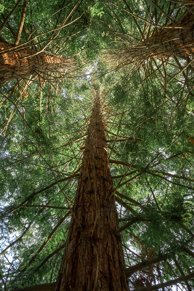 Lens-Artists Home-0411