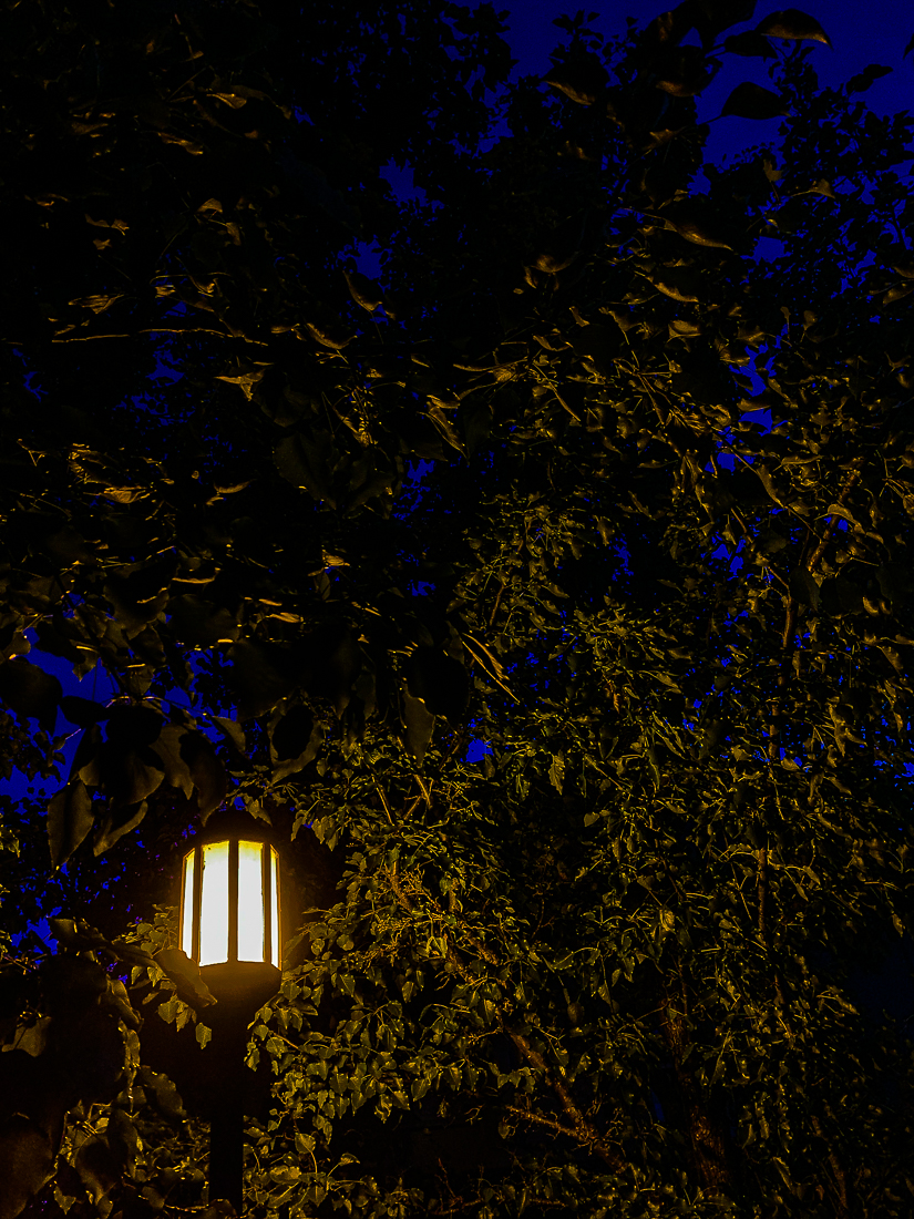 Neighborhood lantern-7153