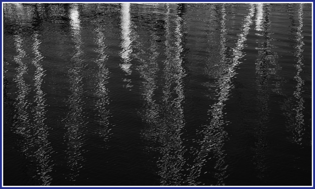 Monochrome Mondays: Squiggly&nbsp;masts