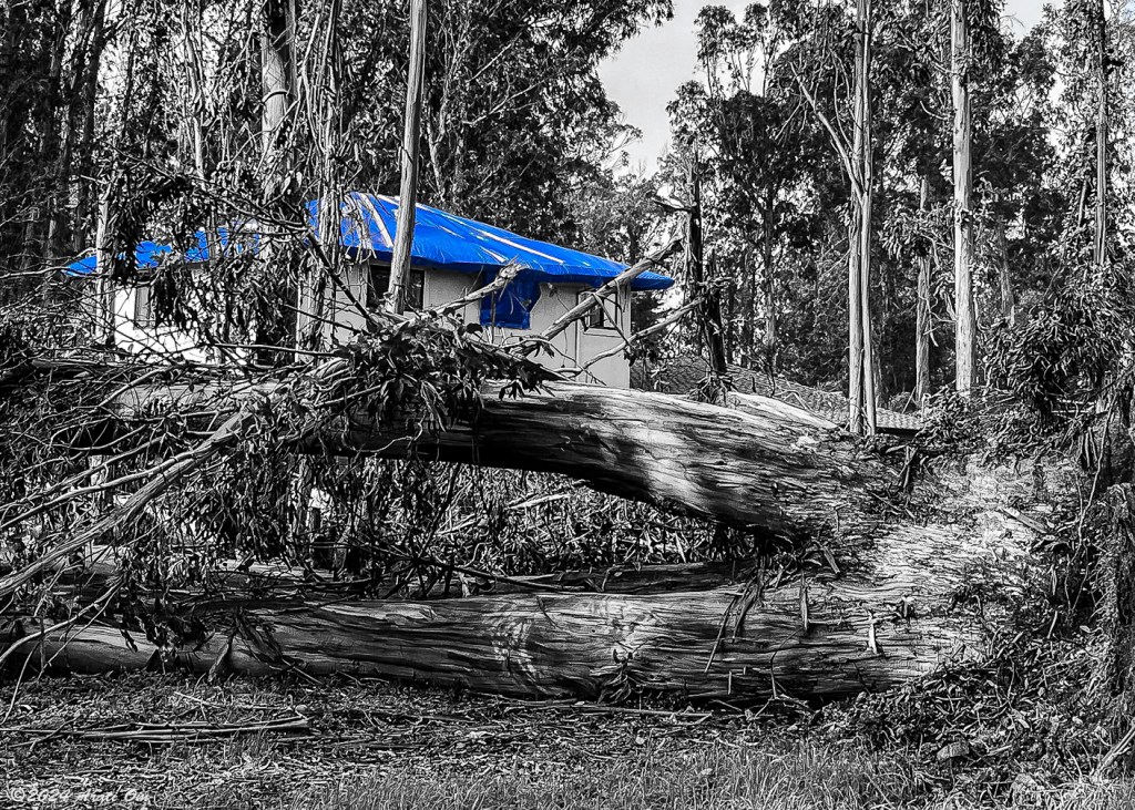 Protectors: Blue tarps in stormy&nbsp;weather