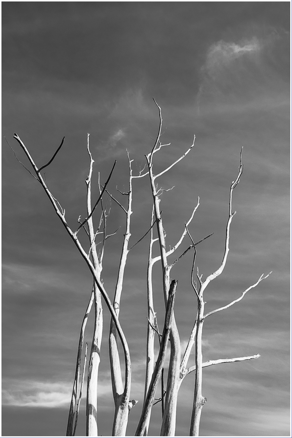 Monochrome Mondays: Touch the&nbsp;sky