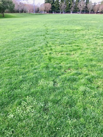 foot-prints-sr-central-park