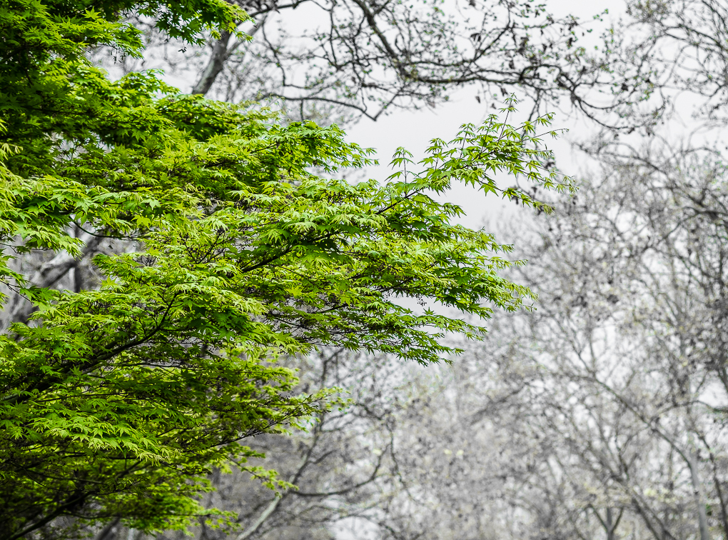 Spring returns regardless-0152-3