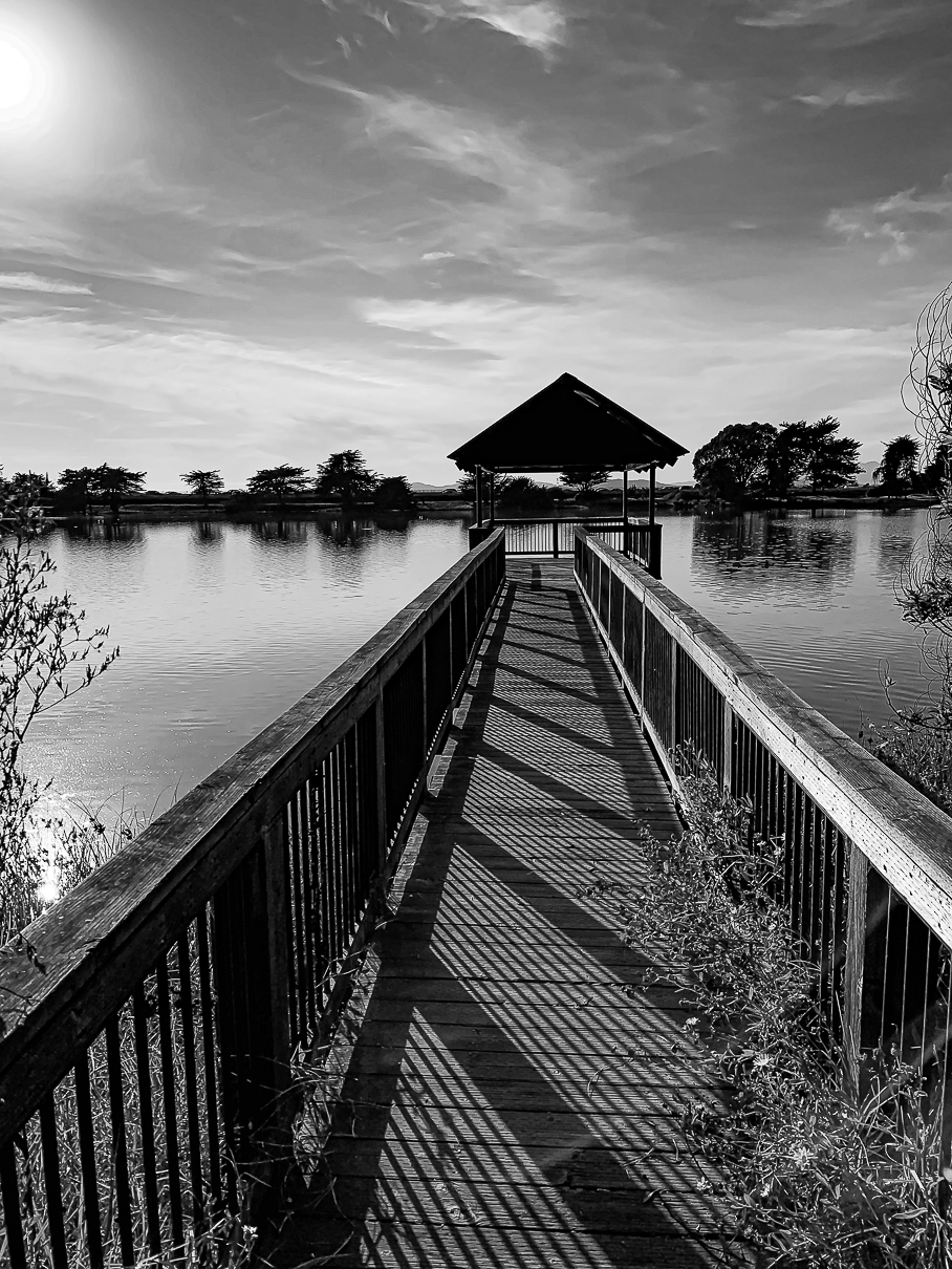 Monochrome Mondays – Berkeley&nbsp;perspectives