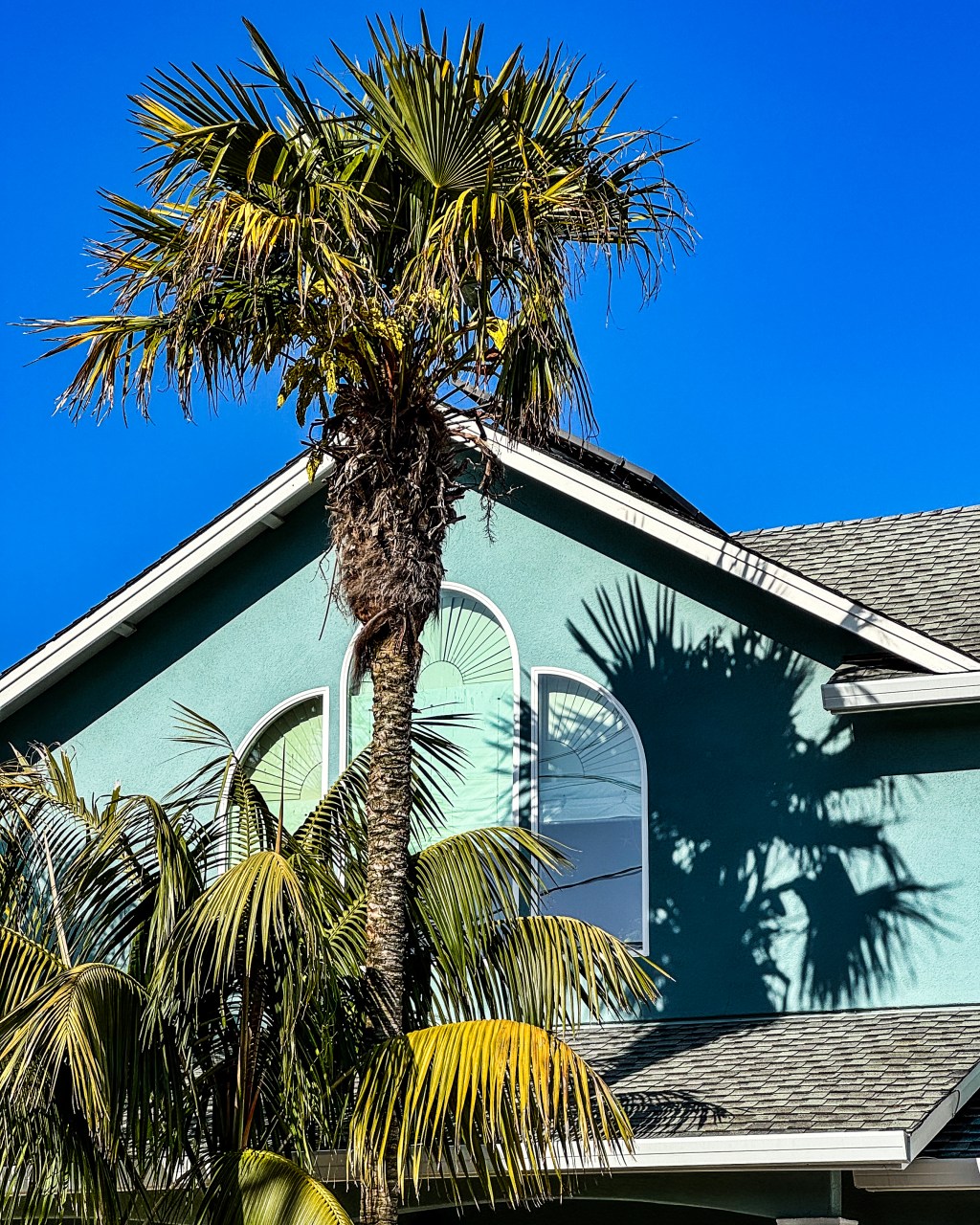 Conversing with shadow