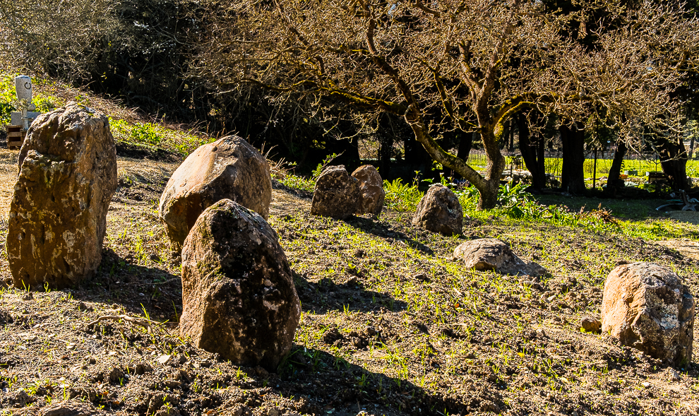 Lens Artists- A quiet moment-6658