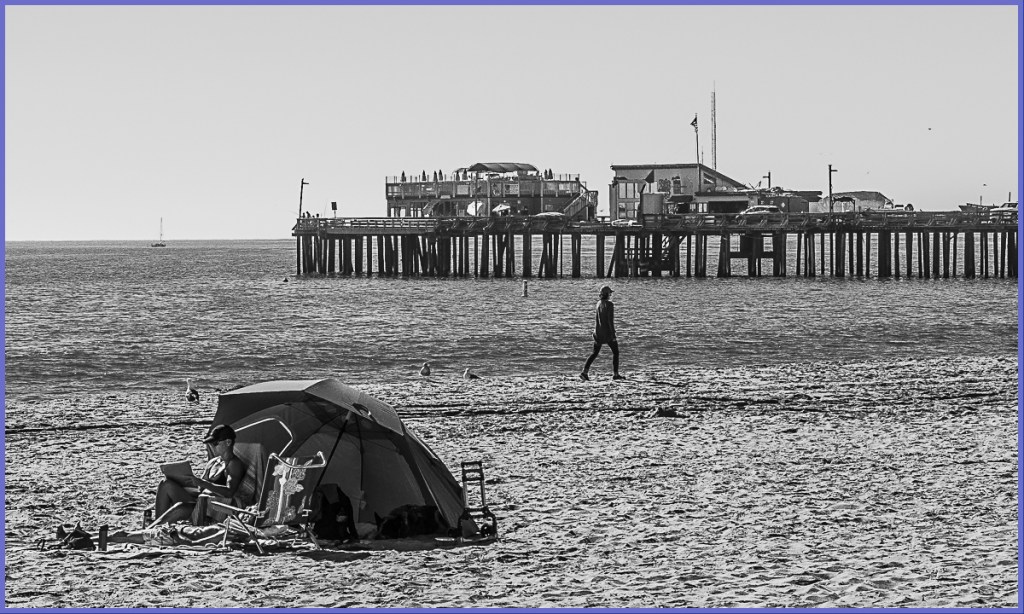 Monochrome Mondays: Chillin on Nov 4th,&nbsp;2020