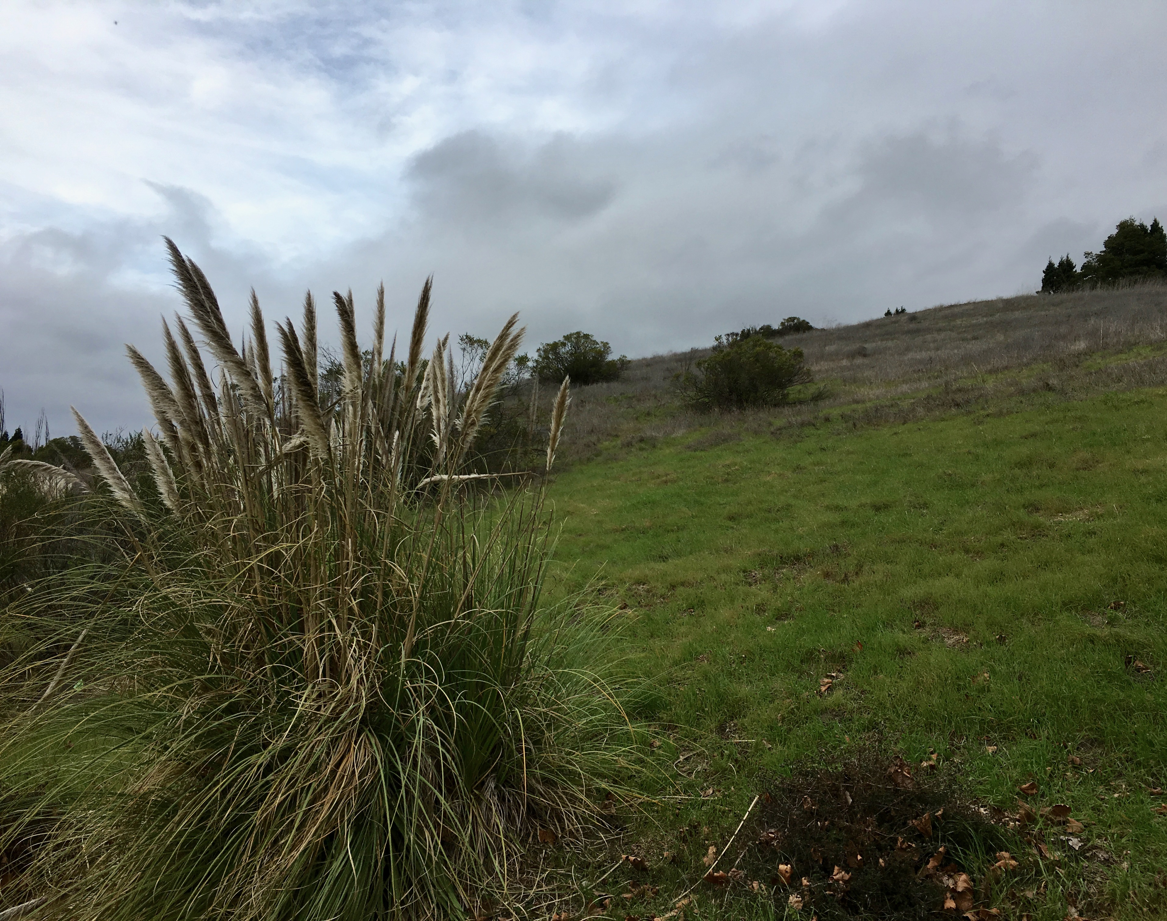 anticipating-the-storm_2506