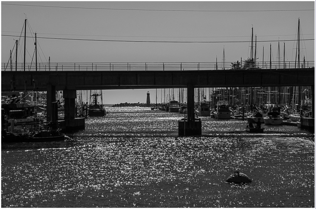Monochrome Mondays: Murray St.&nbsp;bridge