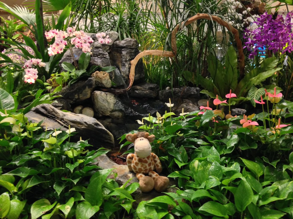 Cutie w/Orchids - Changi, Singapore