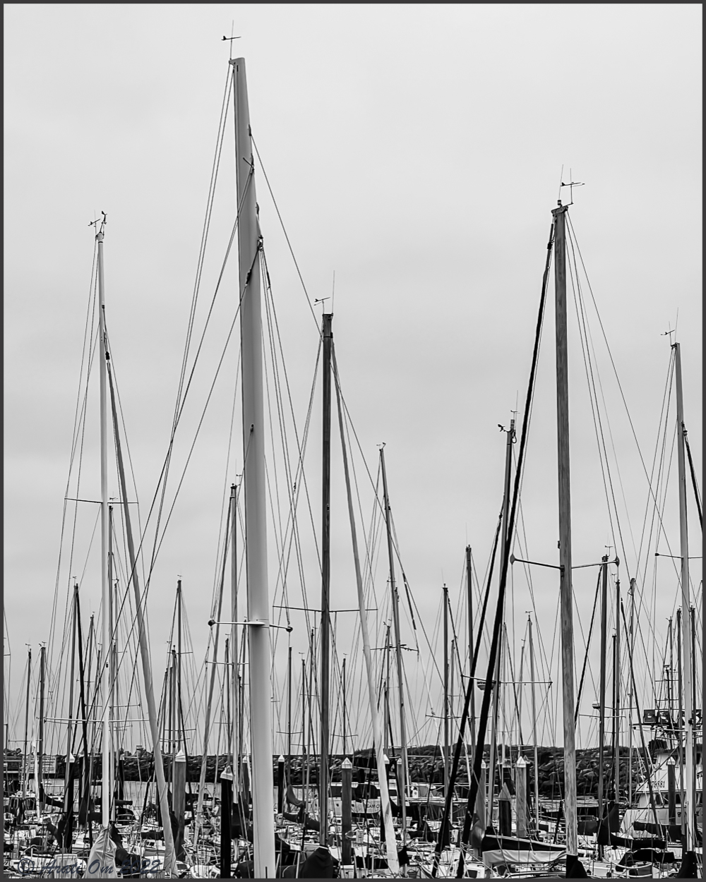 Monochrome Mondays: A maze of&nbsp;masts