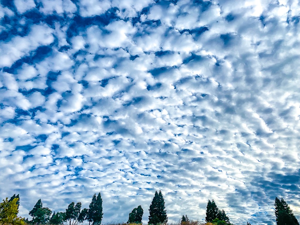 Sheep grazing across the&nbsp;sky
