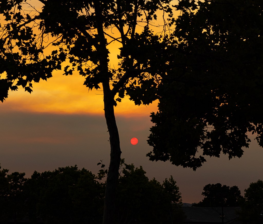 Lens-Artists Photo Challenge #62:&nbsp;Silhouettes