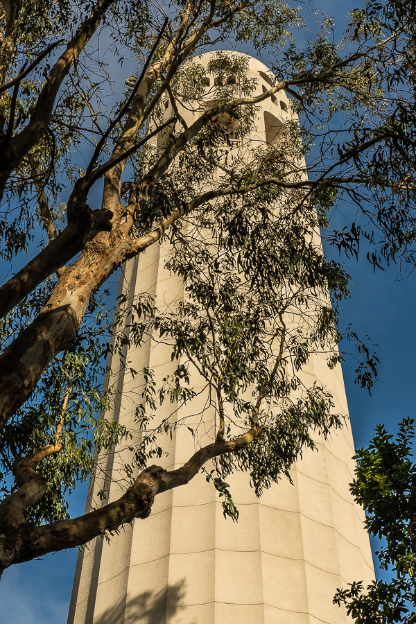 Lens-Artists - Perspective-6107