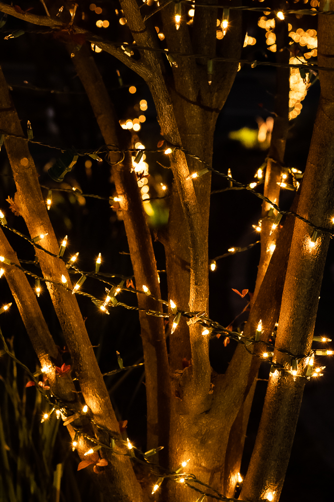 Playing with lights-0212