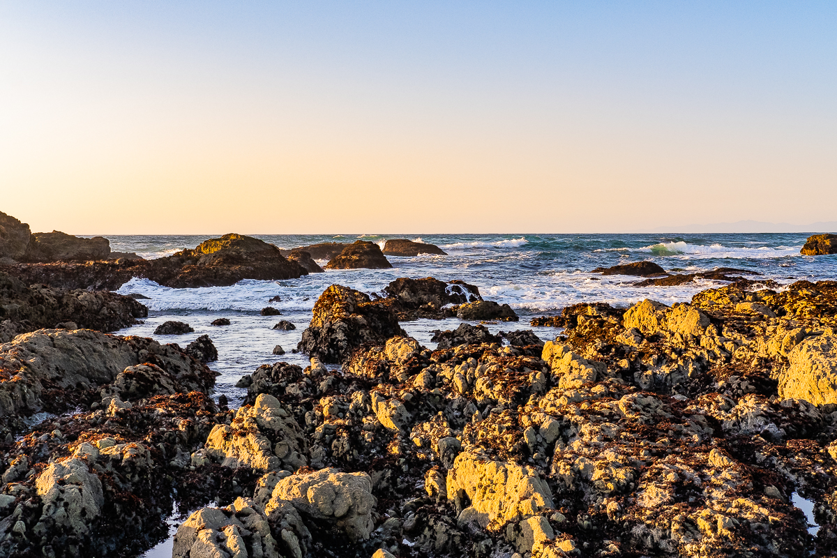 70th birthday Mendocino-7018