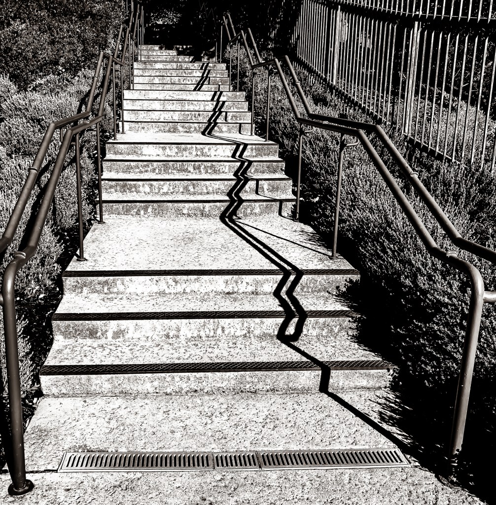Stairs Bishop Ranch-5857