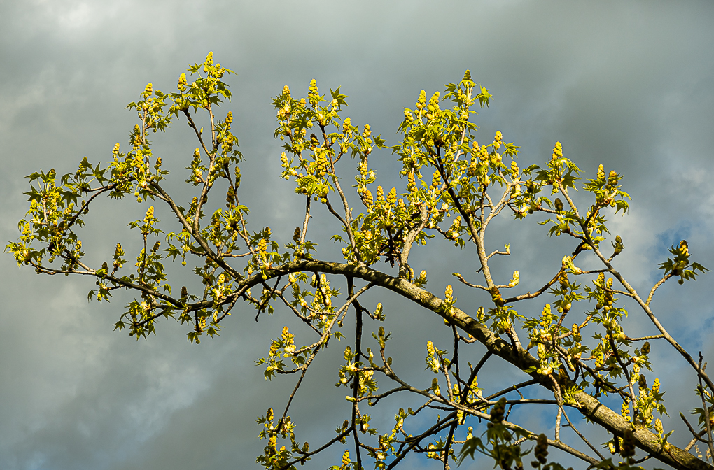 Sunshine on a cloudy&nbsp;afternoon