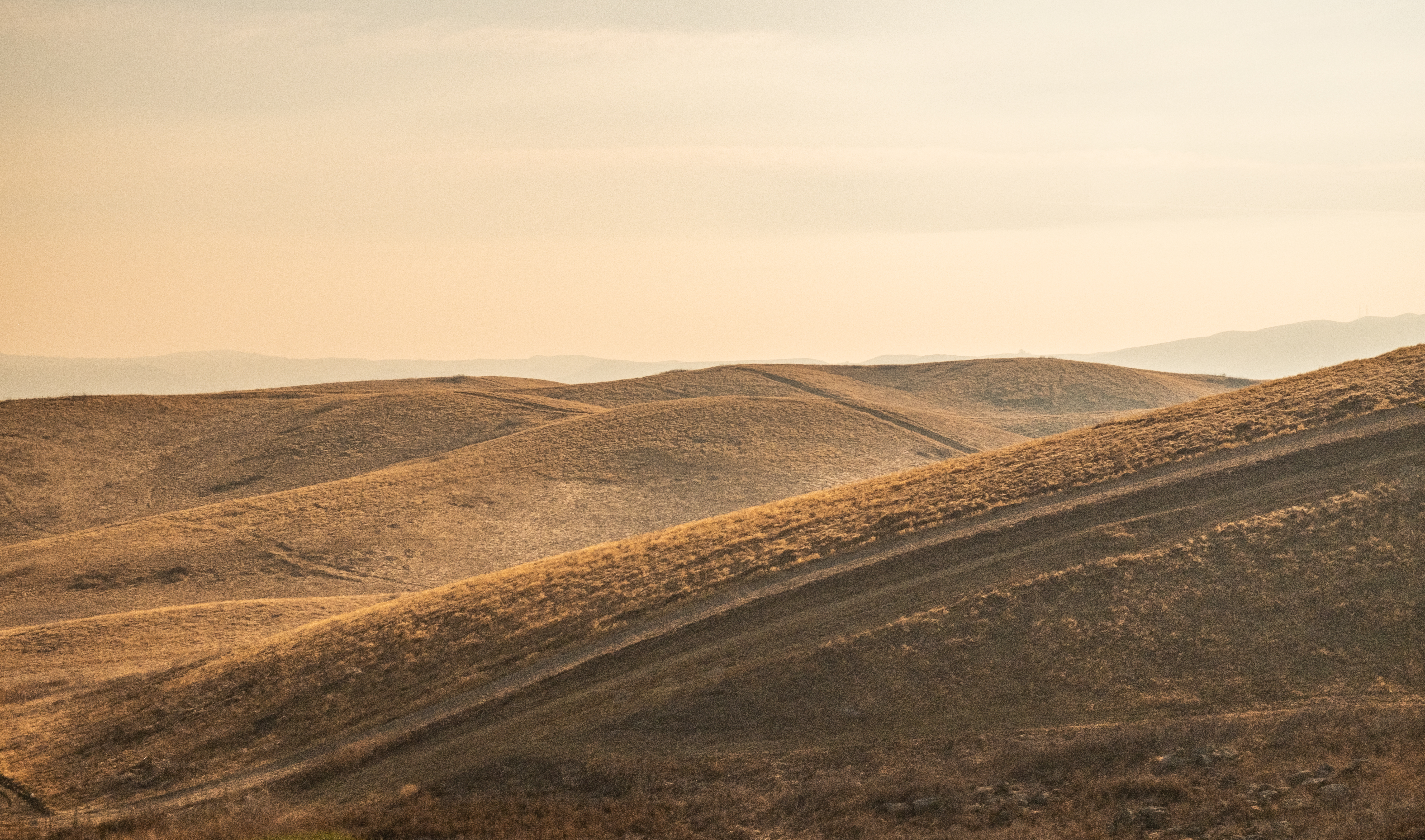 Smokey afternoons-2280