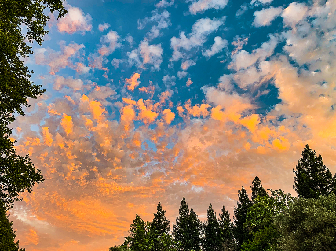 Painting clouds-7040