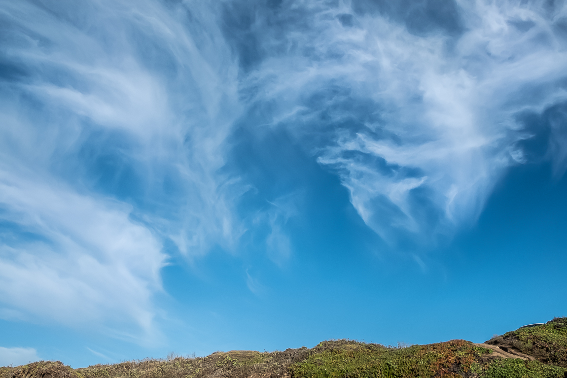 Pescadero Beach-3061
