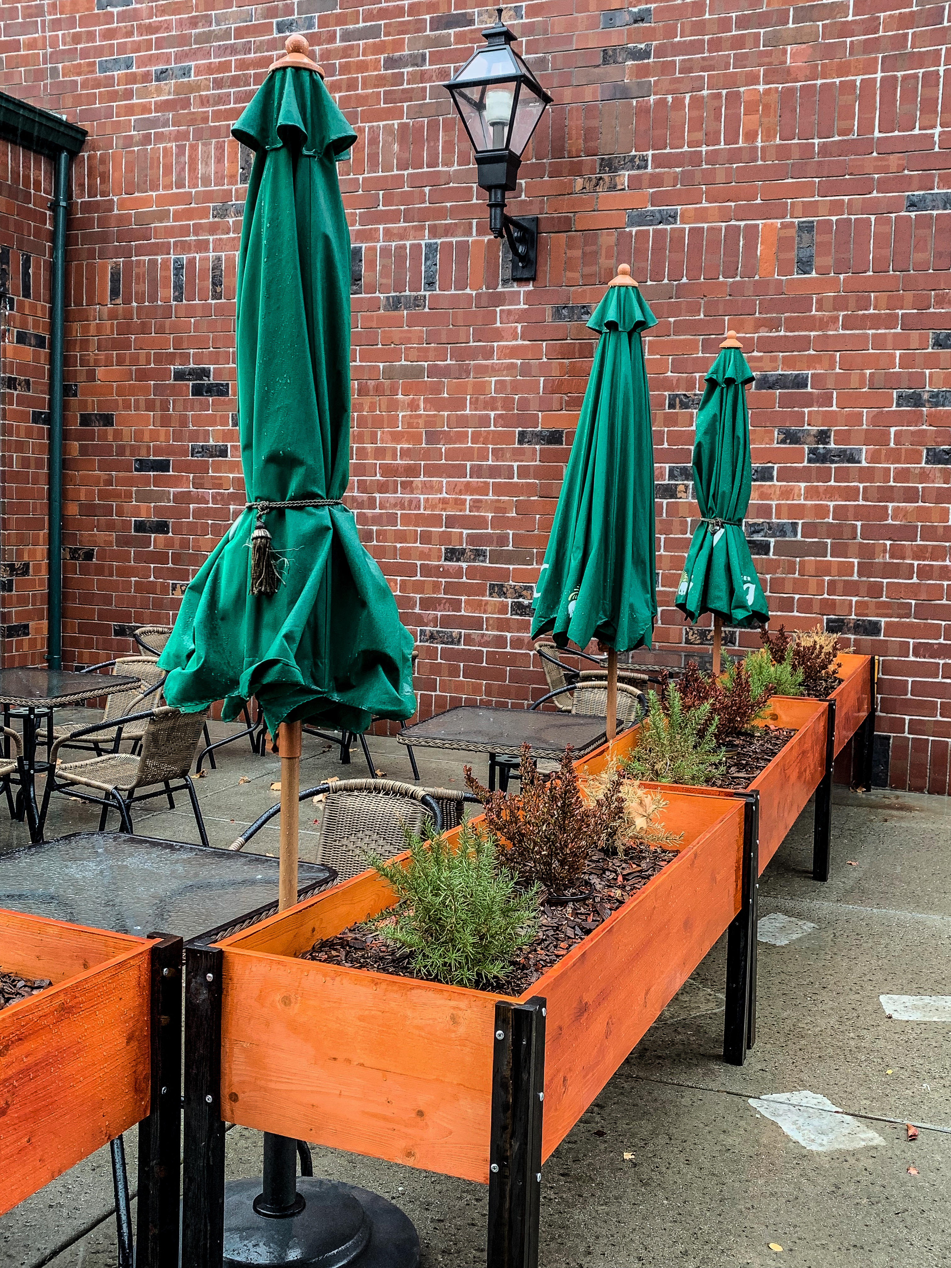 Planters, umbrellas y un farol