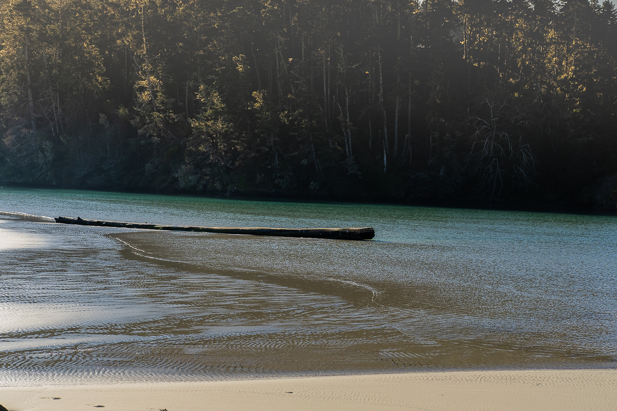 70th birthday Mendocino-6806