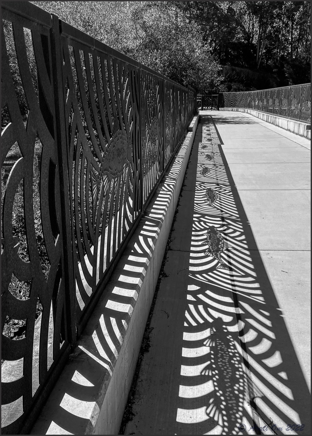 Monochrome Mondays: Flying&nbsp;fish