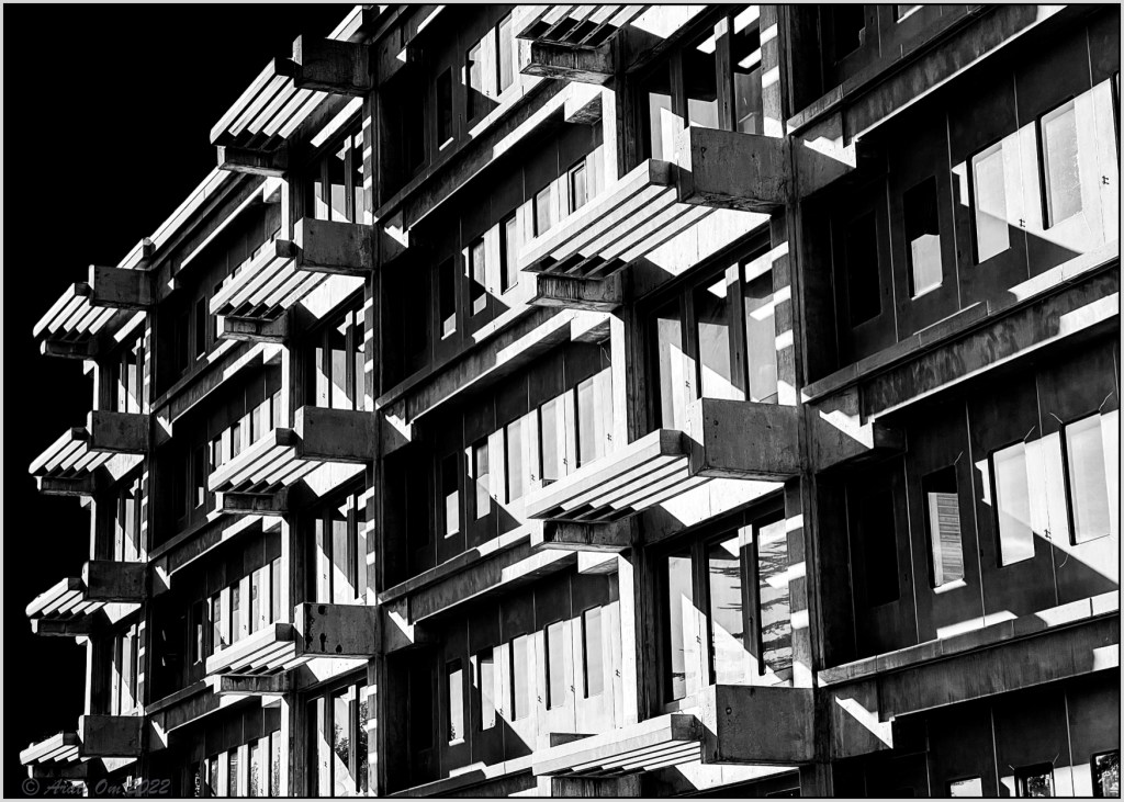 Monochrome Mondays: Light