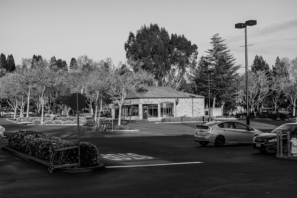 They paved paradise-0318