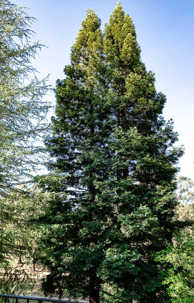 Lens-Artists Home-0339