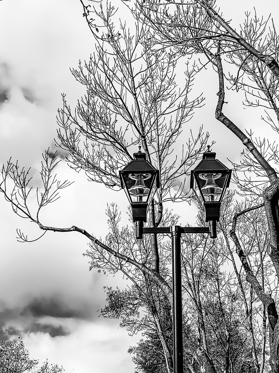 Wordless Wednesday / Mid-Week Monochrome&nbsp;#31