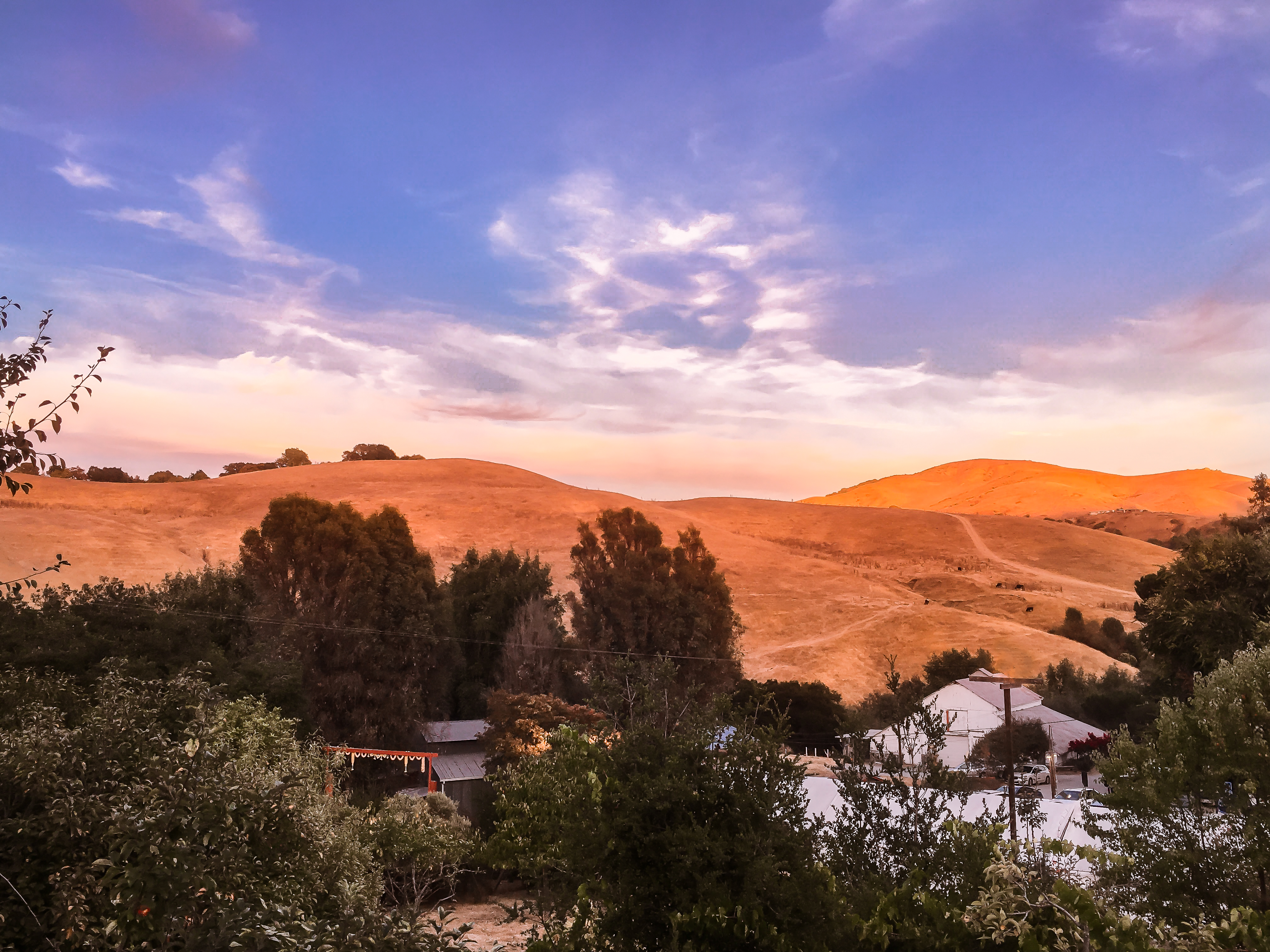 evening - Amma's 65th birthday SR-5396