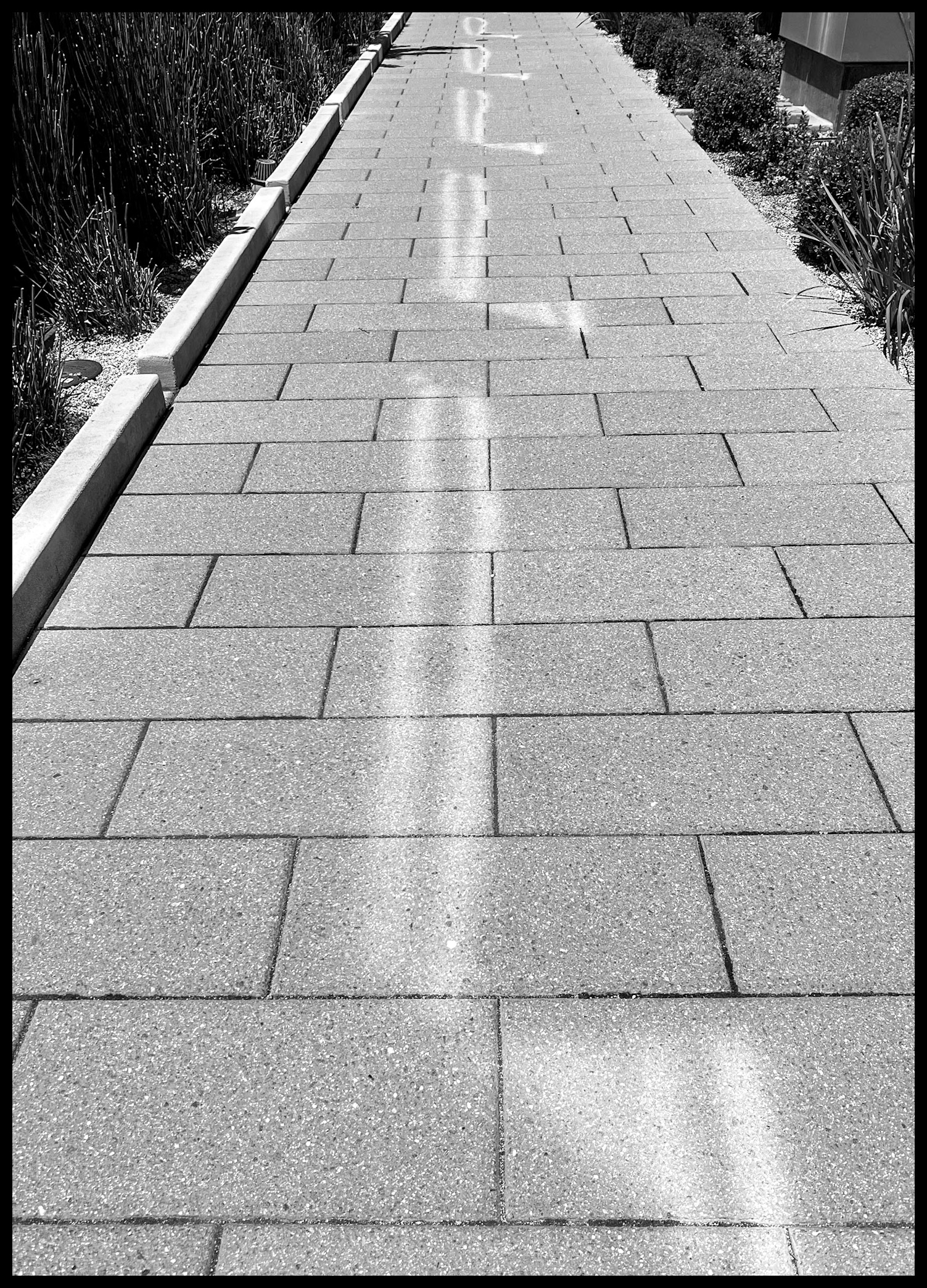 Monochrome Mondays: Sun’s rays bouncing off windows