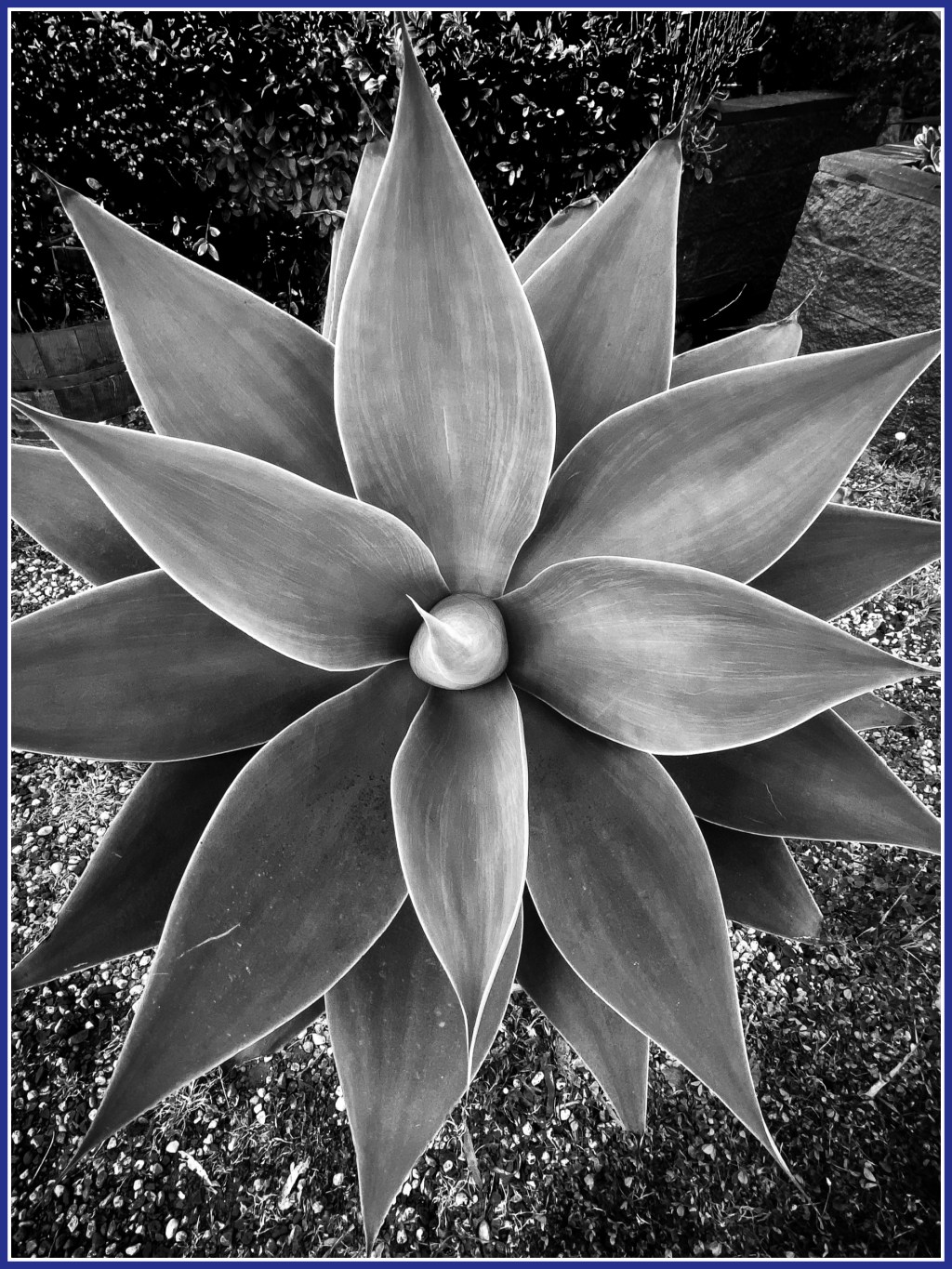 Monochrome Mondays: Birth