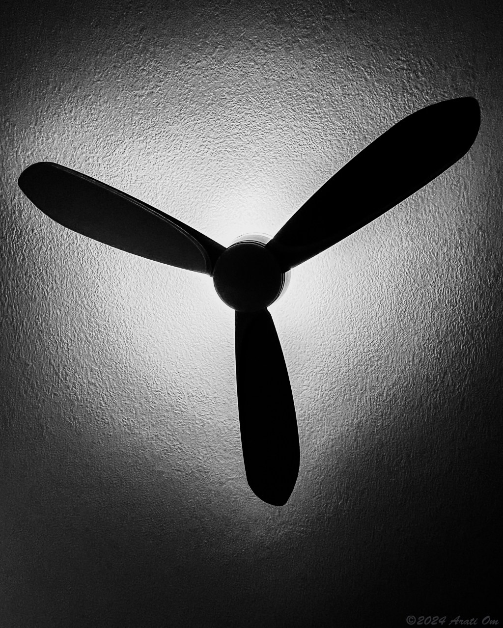 Monochrome Mondays: Ceiling&nbsp;fan