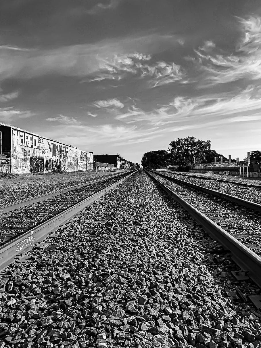 Monochrome Mondays - Berkeley-7459