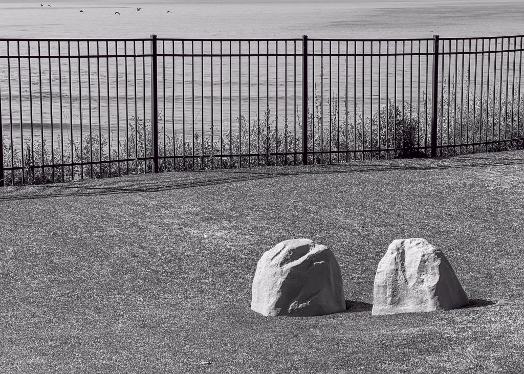 Silent Sunday: Morning pause on Depot&nbsp;Hill