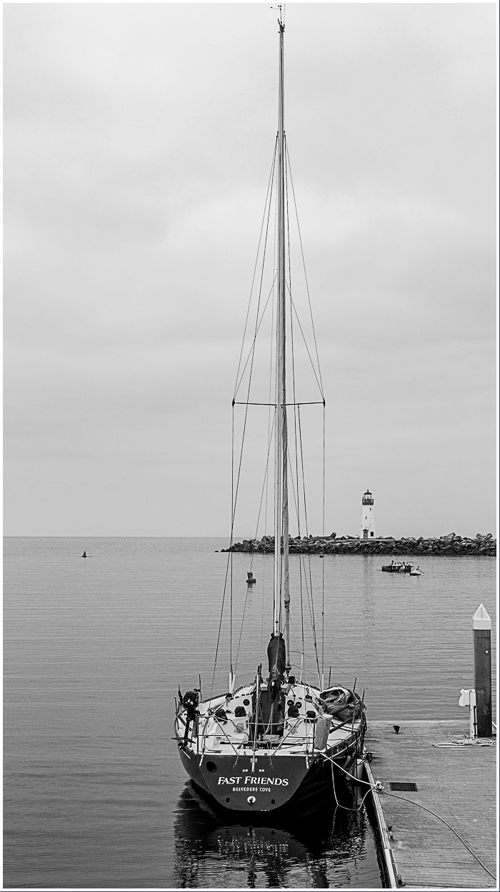 Monochrome Mondays: Fast&nbsp;friends