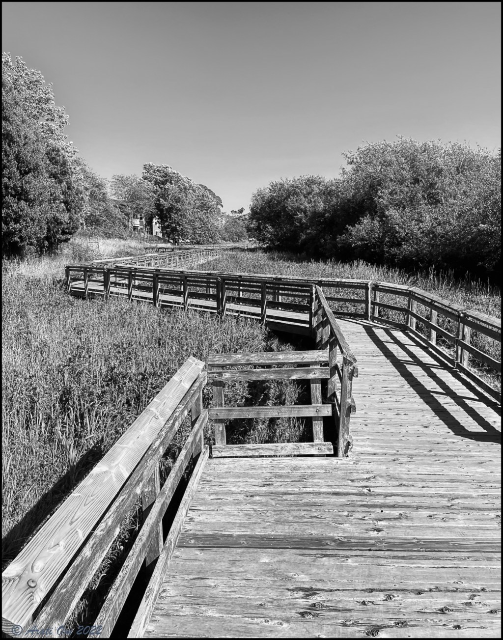Monochrome Mondays: Boardwalk – Neary&nbsp;lagoon