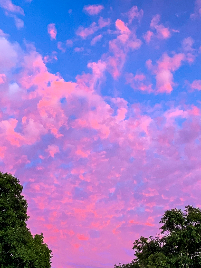 Painting clouds-7046