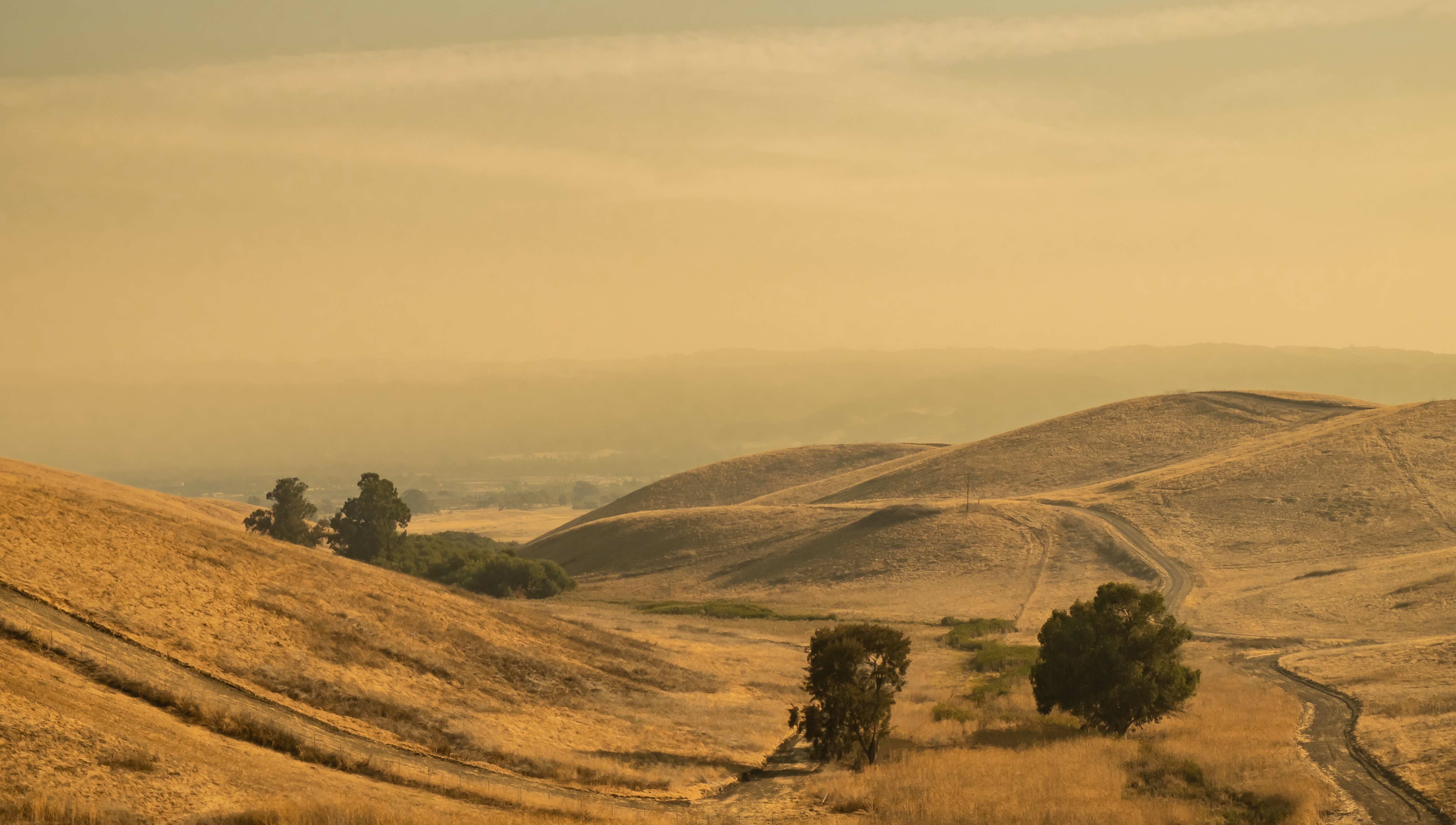 Smokey afternoons-2281