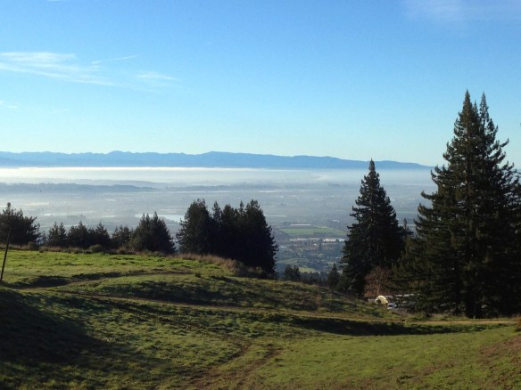 Watsonville Valley Fog