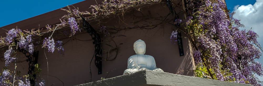 Spring comes to&nbsp;Berkeley