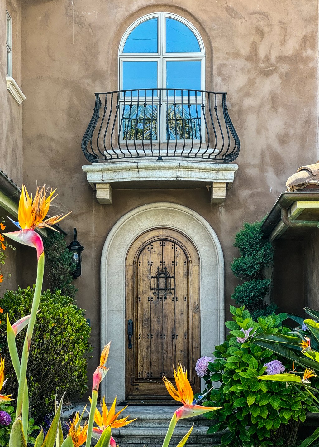 Thursday doors: birds of&nbsp;paradise