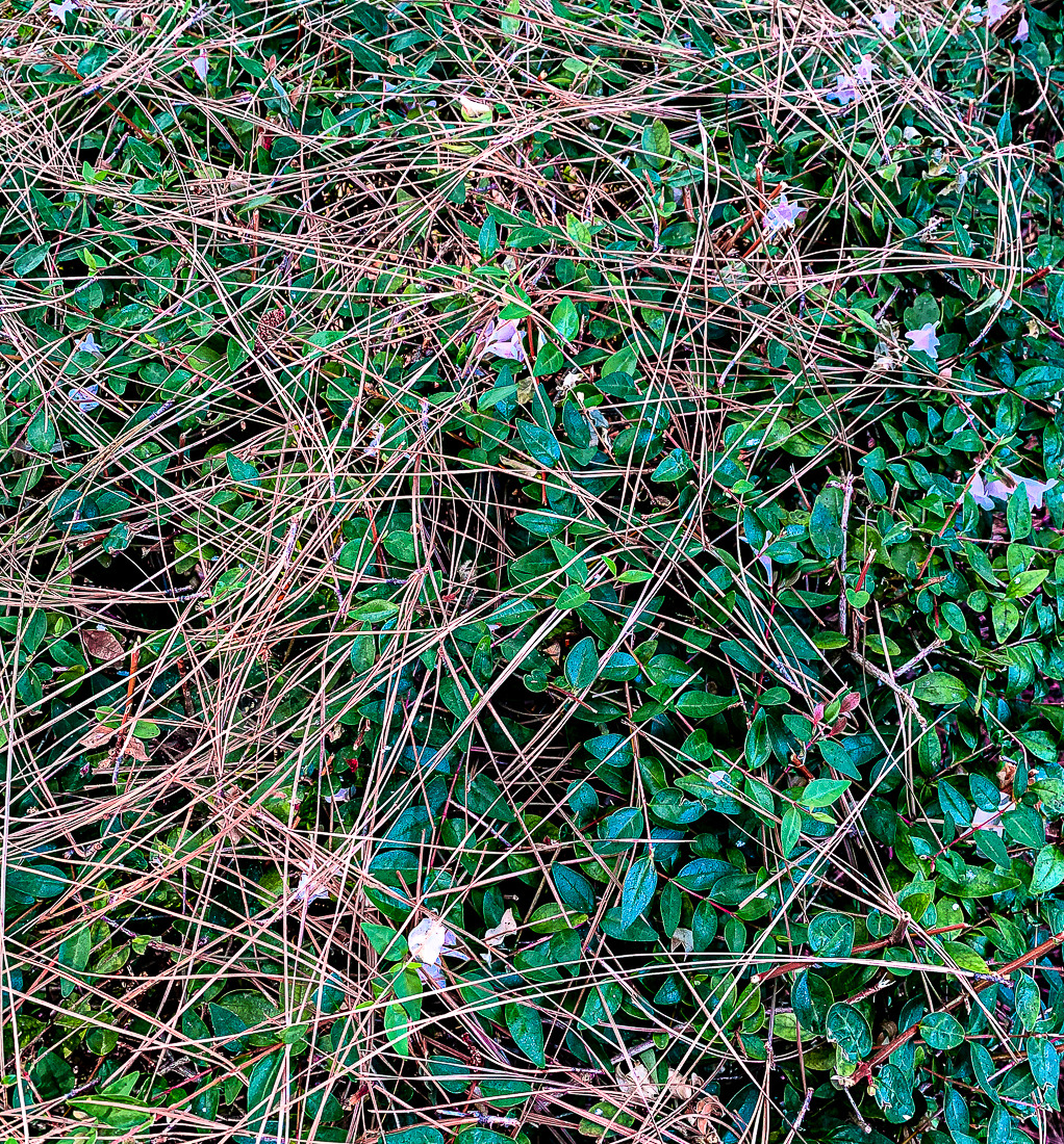 Lens Artists - Layered-7292