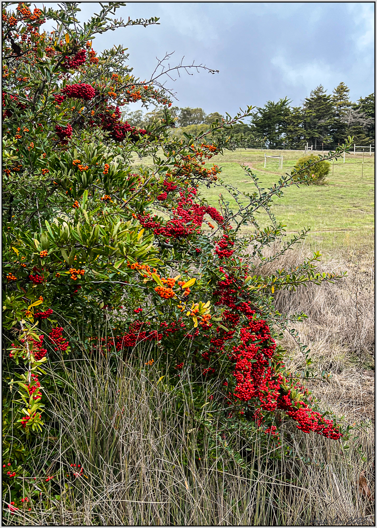 Wordless Wednesday