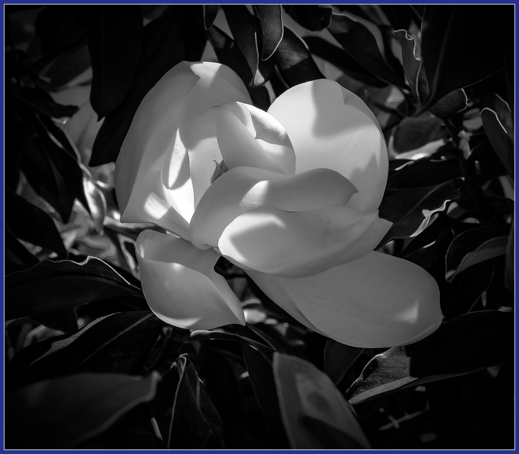 Monochrome Mondays: Coming back to&nbsp;center